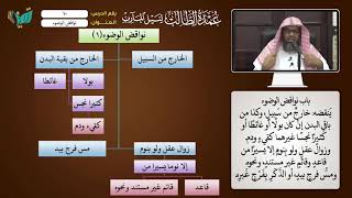 10 نواقض الوضوء شرح عمدة الطالب للشخ أحمد بن ناصر القعيمي image