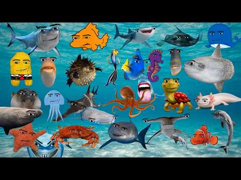 Oceanic Gegagedigedagedago Compilation