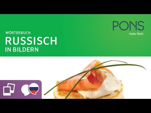 Picture Dictionary Russian Video