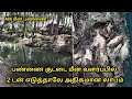 பண்ணை குட்டை மீன் வளர்ப்பு AM Fish Farm Aquaculture Uz