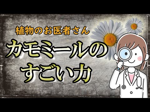 ホップティーの使い方、作り方、効果 植物