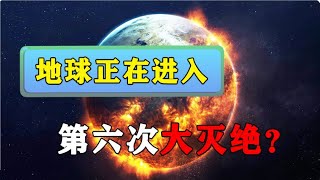 地球將進入第六次大滅絕時代？ 科學家說：人類正將自己推向深淵！