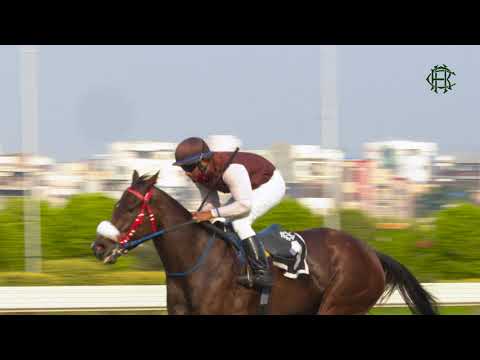 LAGOS | The Bold Venture Plate