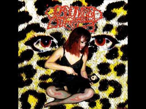Gorgonized Dorks - Last Minutes