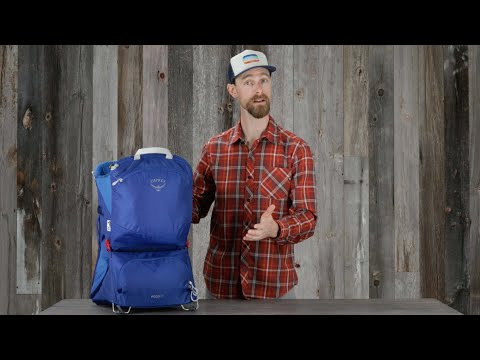 Pristine Osprey Poco LT Child Carrier + Raincover - Image 2