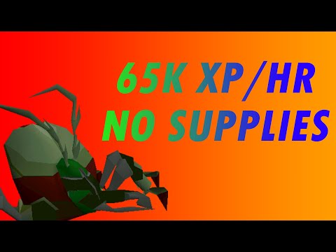 Kalphites Slayer Guide (65K Slayer XP/HR) OSRS 2020