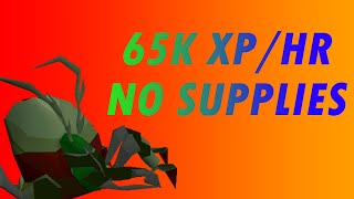 Kalphites Slayer Guide (65K Slayer XP/HR) OSRS 2020