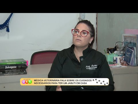 Médica Veterinária fala sobre cuidados para ter um jabuti em casa 24 10 2022