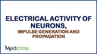 ELECTRICAL ACTIVITY OF NEURONS, IMPULSE GENERATION AND PROPAGATION
