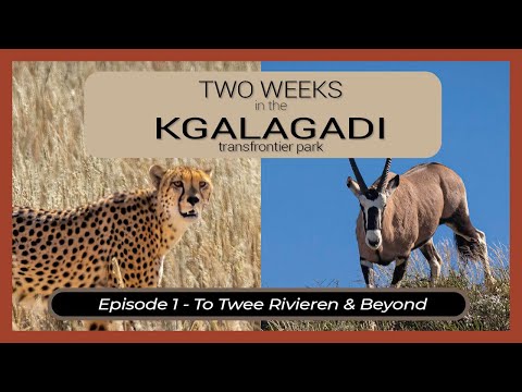 Two Weeks in the KGALAGADI - Episode 1 - To Twee Rivieren & Beyond