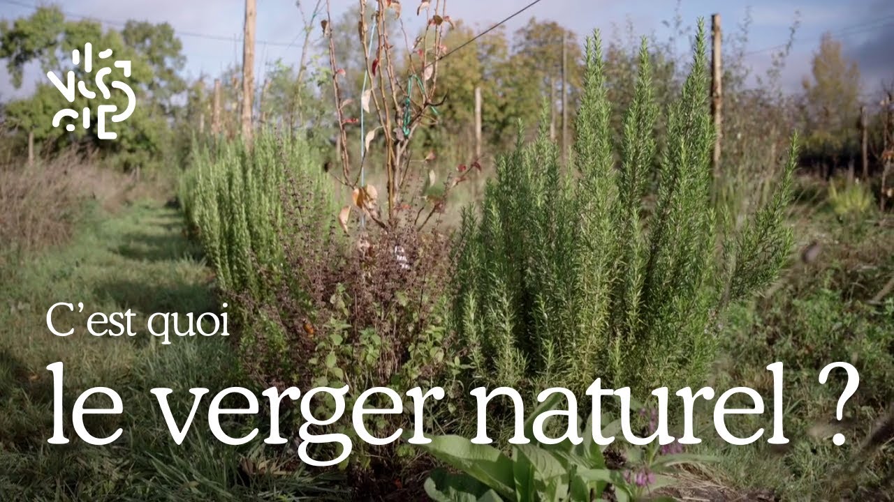 C'est quoi un verger naturel ?