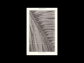 Croatian Amor - The Wild Palms [Full Album]