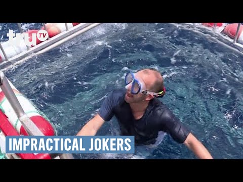 非現実的なジョーカーズ - サメと泳ぐ（罰）｜truTV (Impractical Jokers - Swimming with the Sharks (Punishment) | truTV)