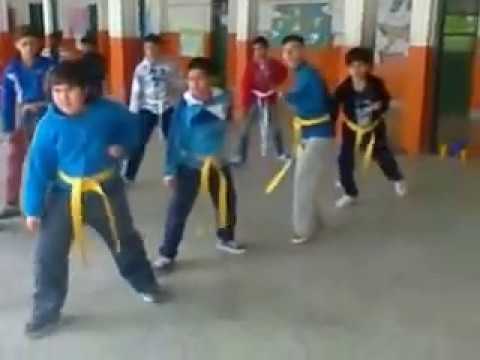 patios abiertos 43 karate -do shito ryu kenshin kai