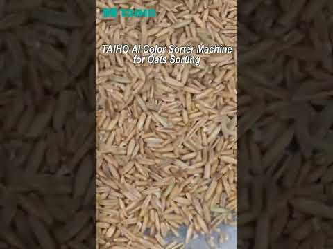 TAIHO AI Color Sorter Machine for Oats Sorting