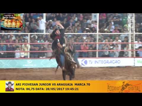 ARI PIOVESAN JUNIOR VS ARAGUAIA MARCA 70 - BY RODEIO DIGITAL 28052017194521