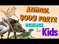 Animal Body Parts Science For Kids