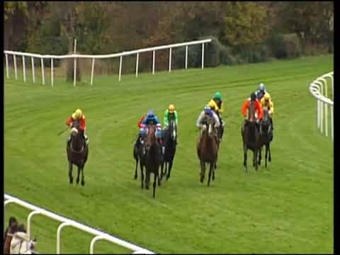 Hannover, Grosser Preis von Pastorius, 4.11.2012 - Siegerin: Orluna