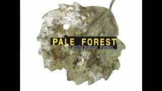 Pale Forest - Karma Violins