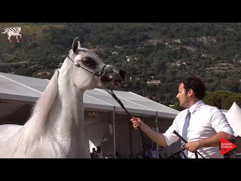 N.59 JASMEENAH AL JASSIMYA - Menton 2019