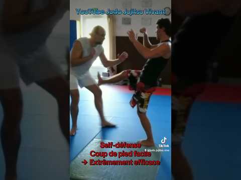 Self-défense : un coup de pied simple et efficace 🔥 #Shorts #martialarts #selfdefense