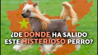 Thumbnail del capítulo