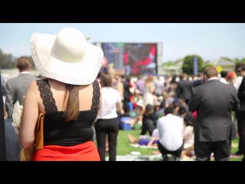 Minute Monday #11 - BECK Caulfield Guineas Day