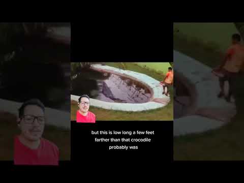 まだ巨大なワニがいる