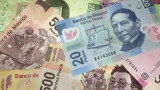 Pesos Music Video