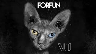 Forfun - Nu [Álbum Completo]