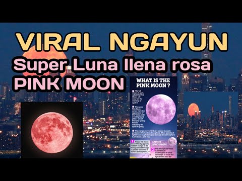 VIRAL Super Pink MOON | Luna llena rosa Pink Moon