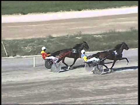 Trotto 28/09/2014 - 1° prova di riqualifica