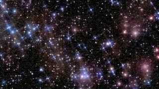 Voices of Christmas DVD Preview