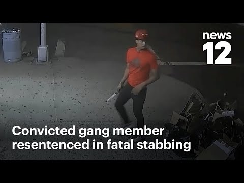 Convicted gang member resentenced in killing of 15-year-old ‘Junior’ Feliz  | News 12