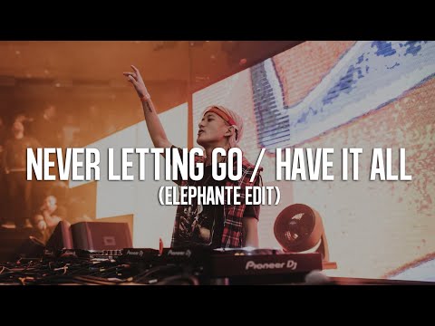Never Letting Go / Have It All (Elephante Edit)