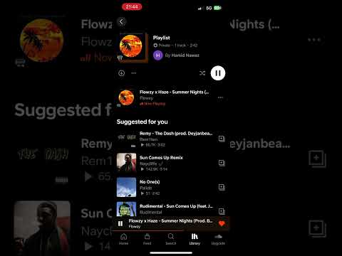 SUMMER NIGHTS FLOWZY X HAZE