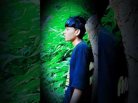 NEW SANTALI SHORT2024 Rengec Nachar | Noel Kishore Hansda | Sanny Tudu Official #shorts #santali