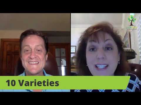 Is How I'm Feeding My Pets a Recipe For Disaster