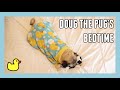 Doug the Pug's Bedtime