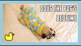 Doug the Pug's Bedtime