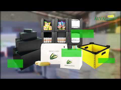 Company Overview