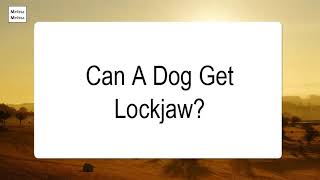 Can A Dog Get Lockjaw