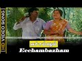 Eechambazham Song Pavithra Movie Vadivelu Kovai Sarala Love Songs K S Chithra Hits HD