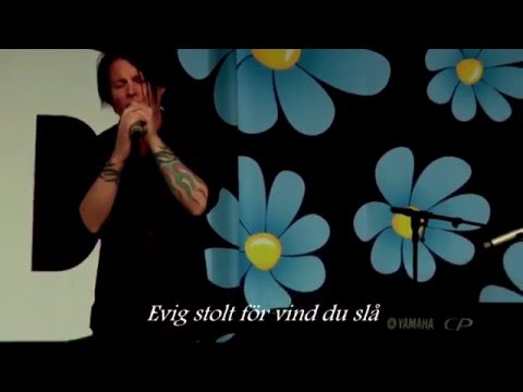 Bedårande Barn - Mitt Land [Live med Lyrics]