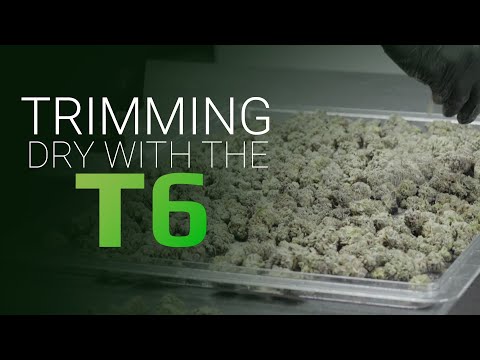 Trockentrimmen mit dem Twister T6