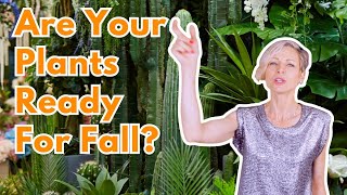 Get Your Plants Ready For Fall! ✅ 6 Plant Care Tips To Keep Your Plants Happy 🍁