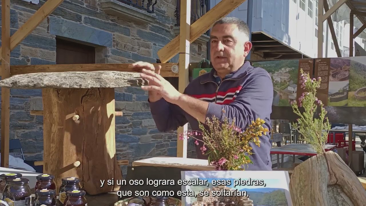 Casa Príncipe | Son de Lugo