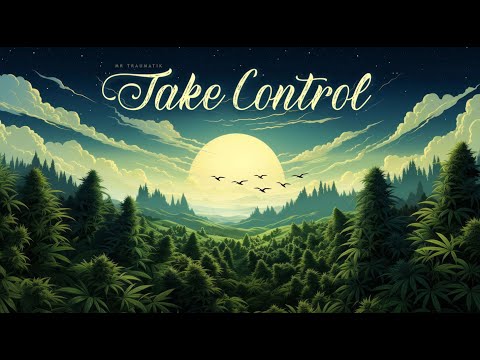 Take control (prod.Westy) - Visualizer