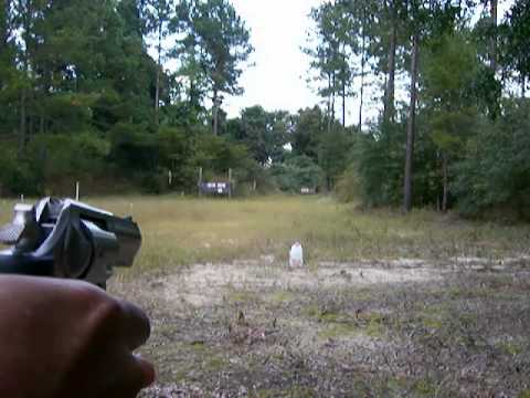 Remington \u0026 Fiocchi 125gr SJHP .357 Magnum Comparison