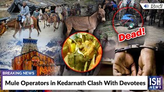 Mule Operators in Kedarnath Clash With Devotees